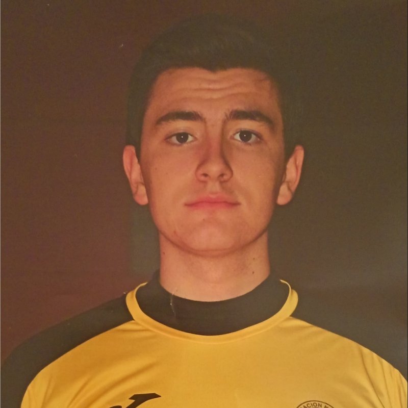 IGNACIO VERGARA MONTOYA
