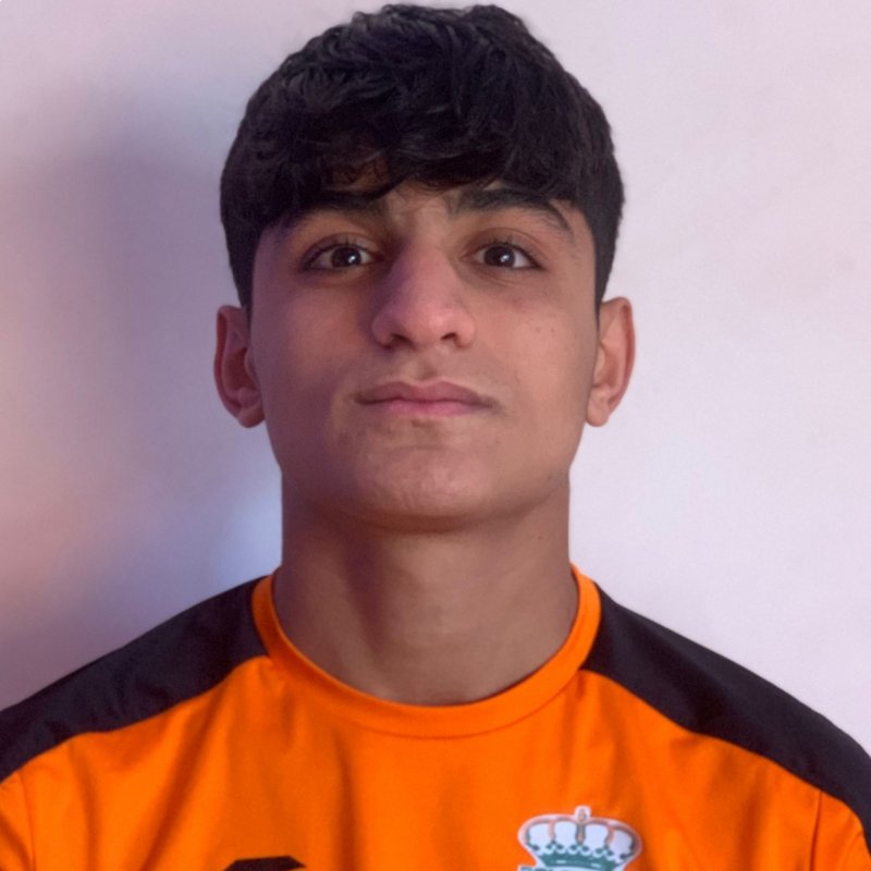 MOHAMMAD AMINE  AL LAHHAM