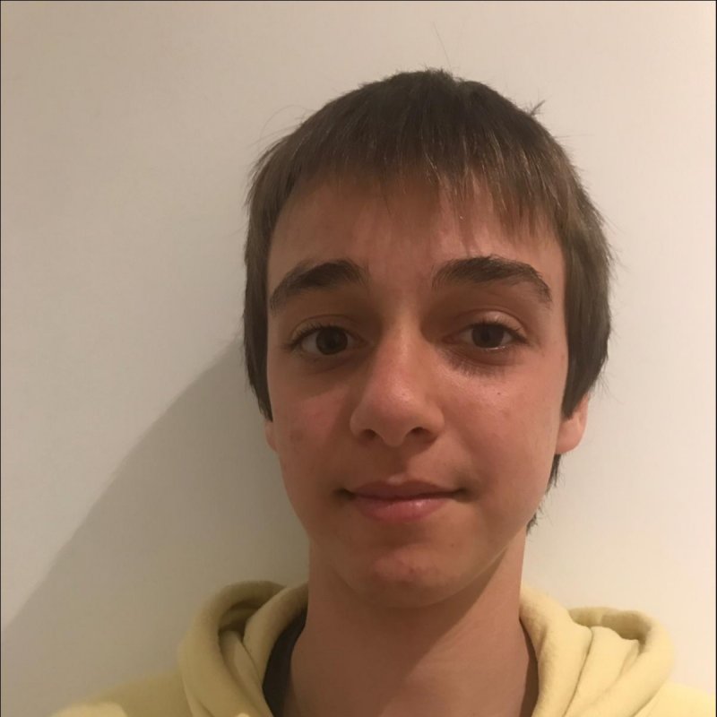 LLUIS MIRA TORQUEMADA