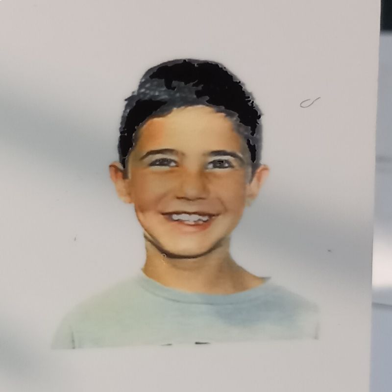 RAUL SANTA EUFEMIA CARMONA
