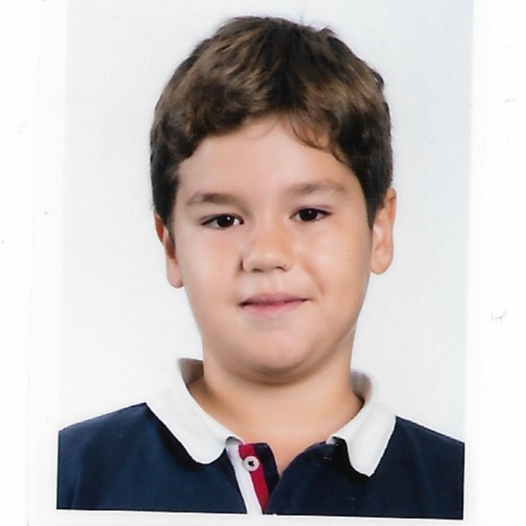 GERARD ANDION ALCACER