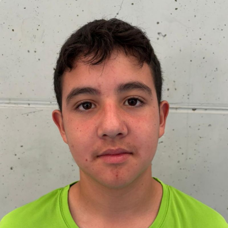 JAVIER ROSA ALFONSECA