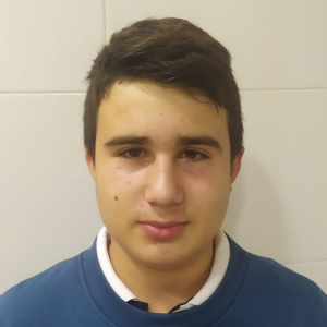 ALBERTO VICENT RUBIO