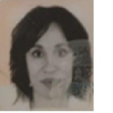 MARICEL COMPANYS MALLADA