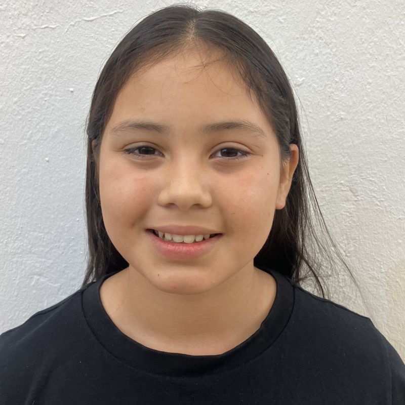 ALMA ESTRELLA RAMIREZ ROJAS