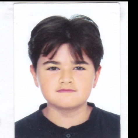 GERARD BERENGUER CLARA USART