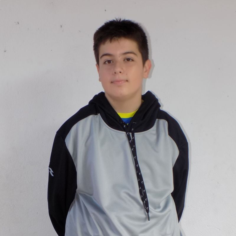 DAVID DOMINGUEZ VIEITEZ