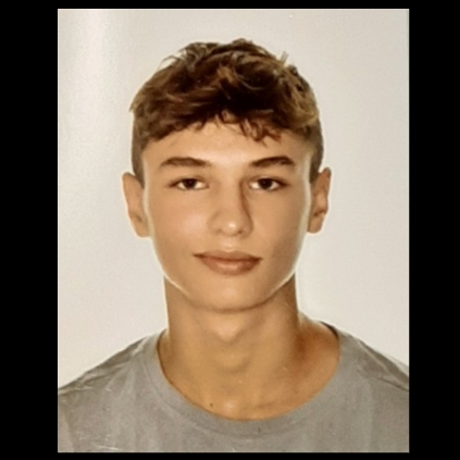 JOEL VIVES DIAZ