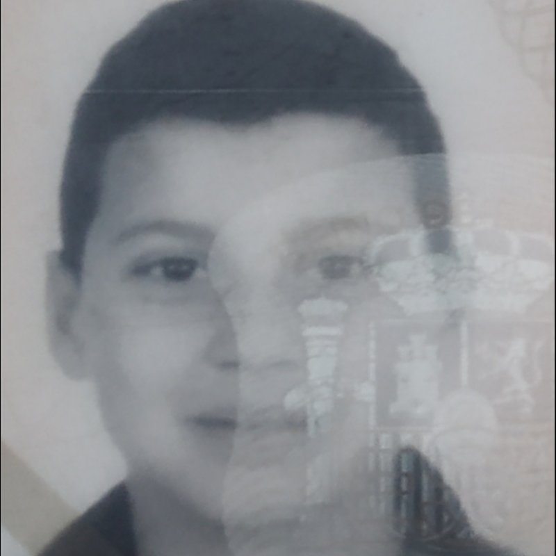 ILIES AHMED ABDEL-LAH