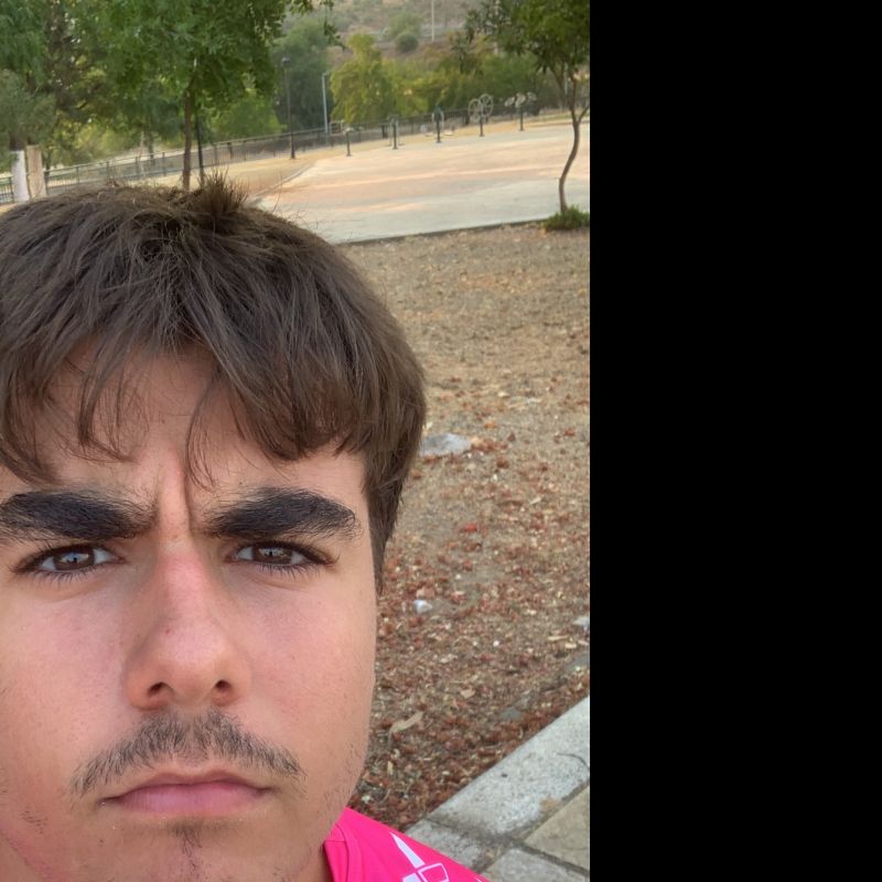 FRANCISCO MARTIN NIETO