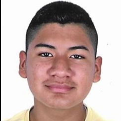 DAREK DYLAN BELLIDO SANDOVAL