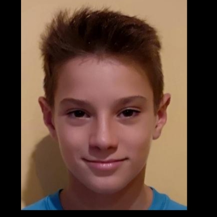 DAVID PELEGRIN CARUJO