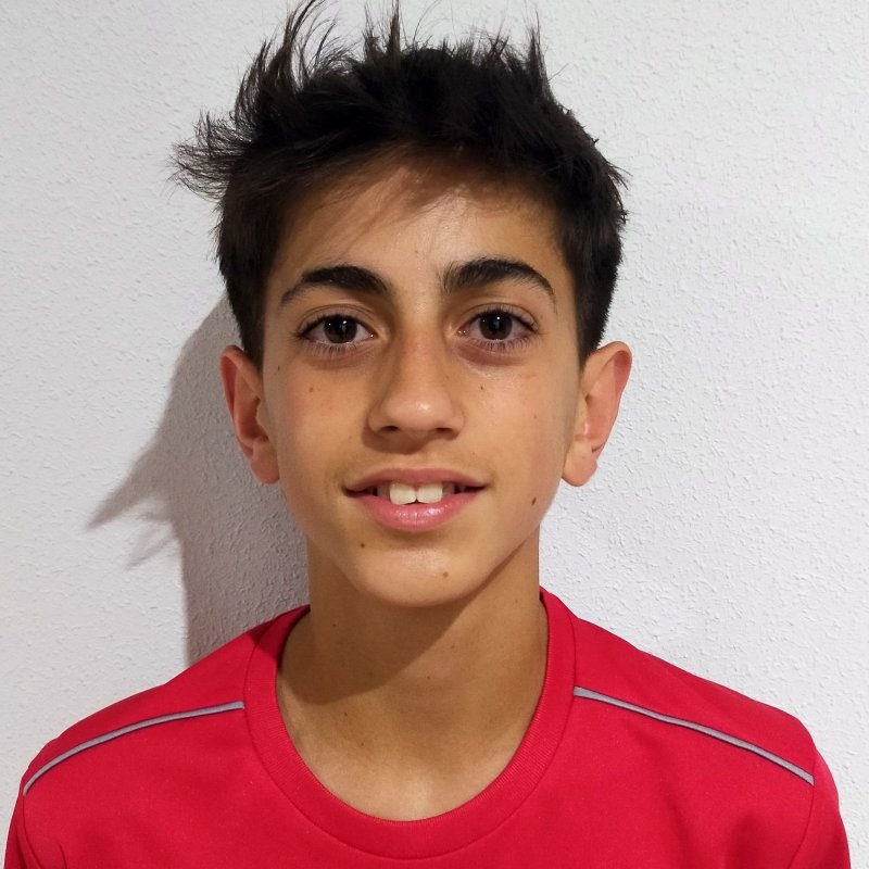 DANIEL DEL SOL JARDIN