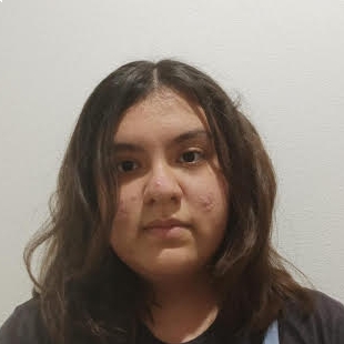 AZUCENA FERNANDEZ TENESACA