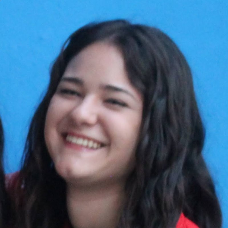 LUNA VILLAVICENCIO RUIZ