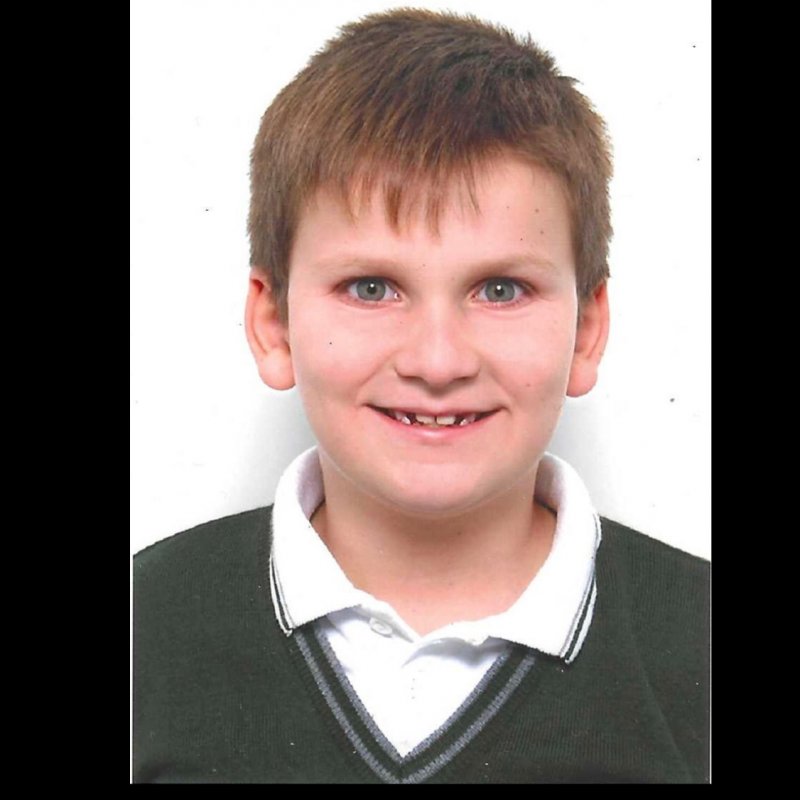 JAVIER FERRANDEZ FENOLL