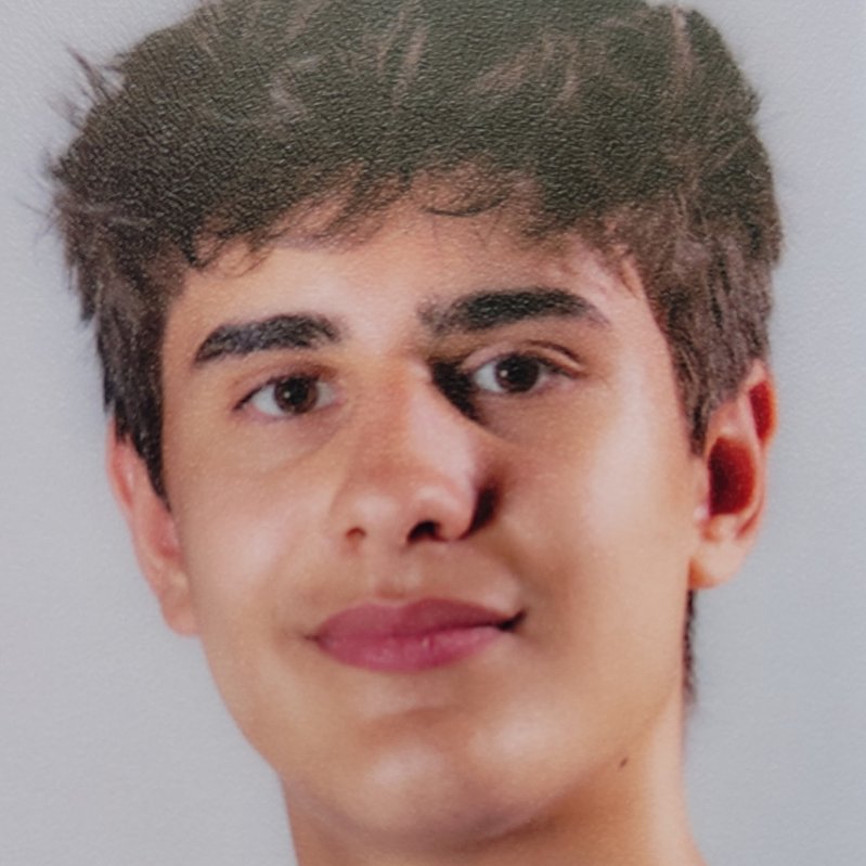 ALEXANDRU  NICULAU