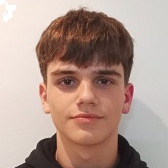 JOAN SILVESTRE PIERA