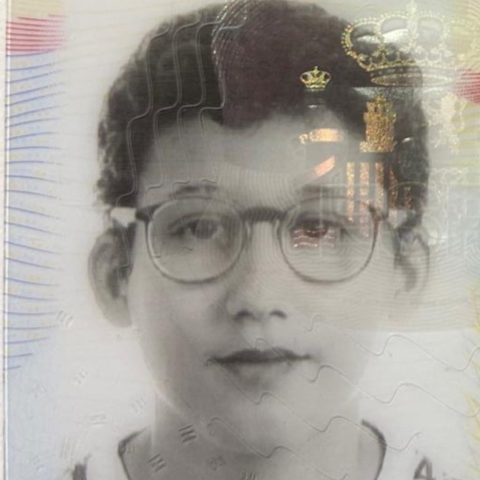 JAVIER MENARGUEZ CANO