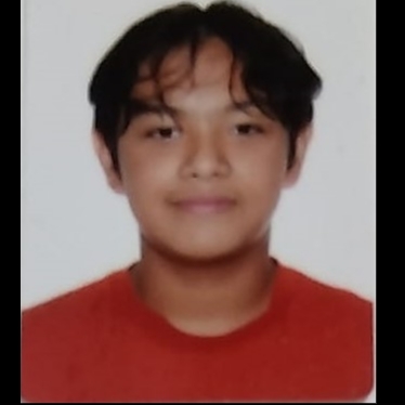 JOSSUE MATIAS PALACIOS CARBAJAL