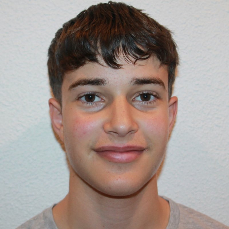 MANUEL IBAÑEZ  DIAZ-PECO