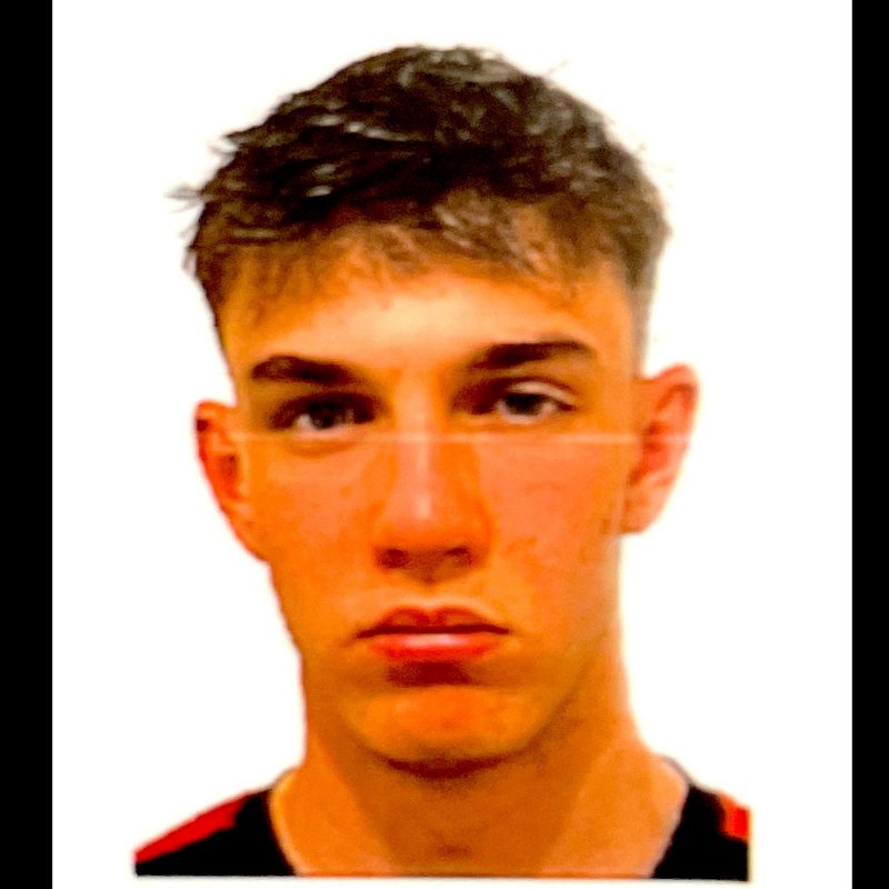 ALVARO HERNANDEZ FERRER