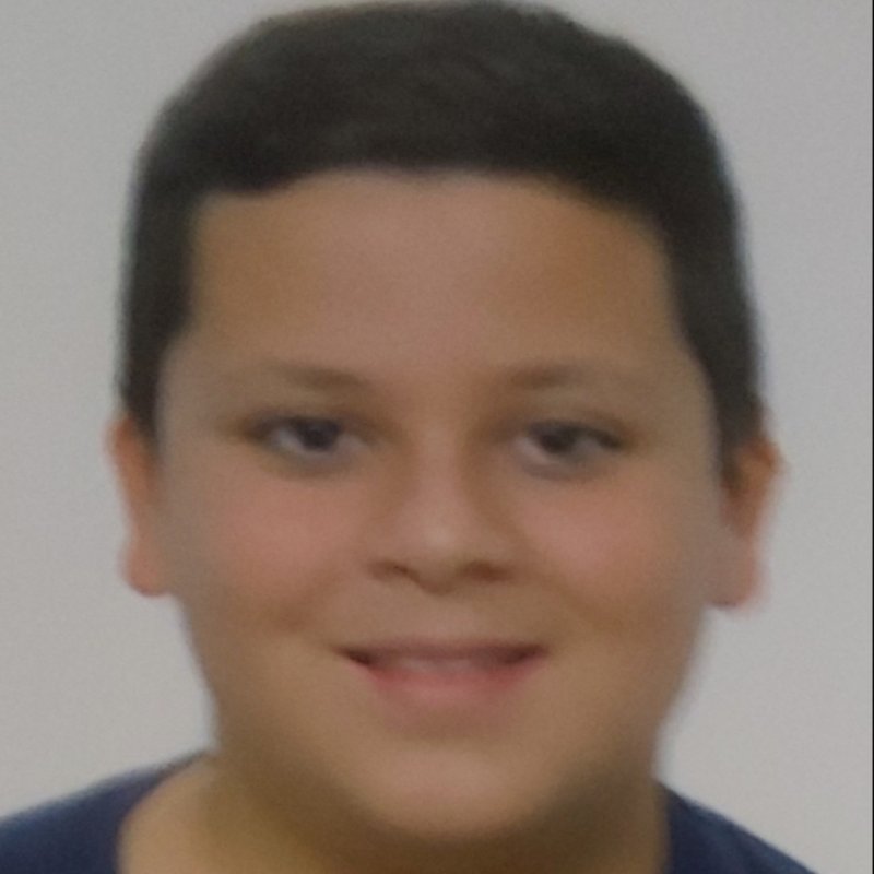 DAVID FERNANDEZ  GUILLEN 