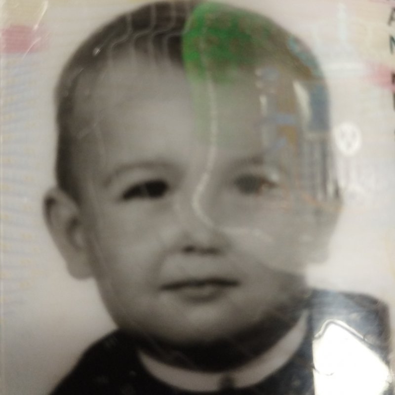 MARTIN  ALONSO MARTINEZ