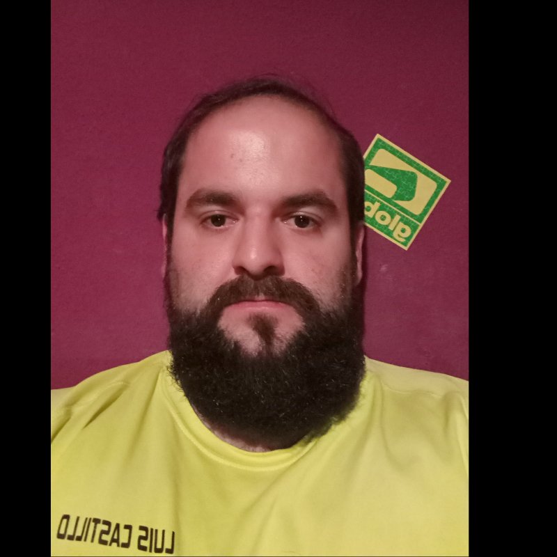 LUIS CASTILLO GARCIA