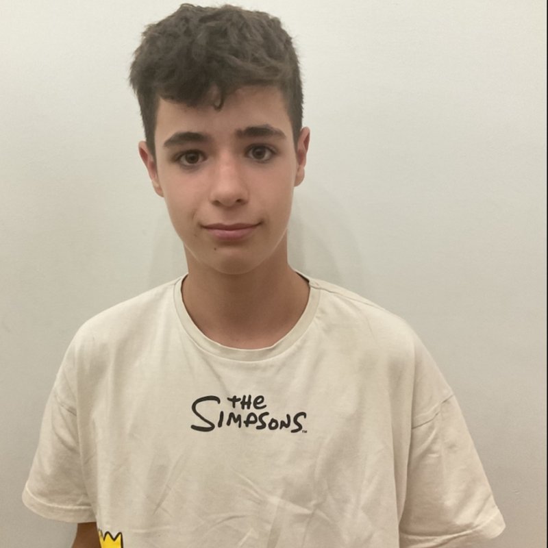 FERRAN PALAU VILALTA