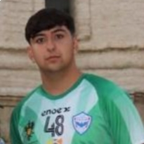 RAFAEL ARACENA TERRON