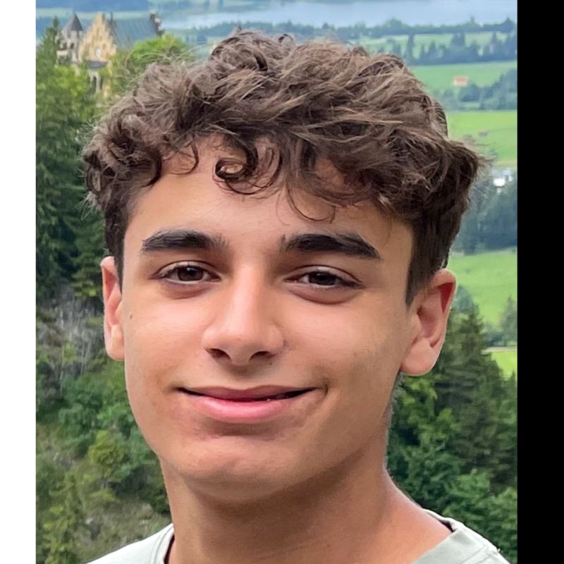 ULISES SANCHEZ BARRIONUEVO