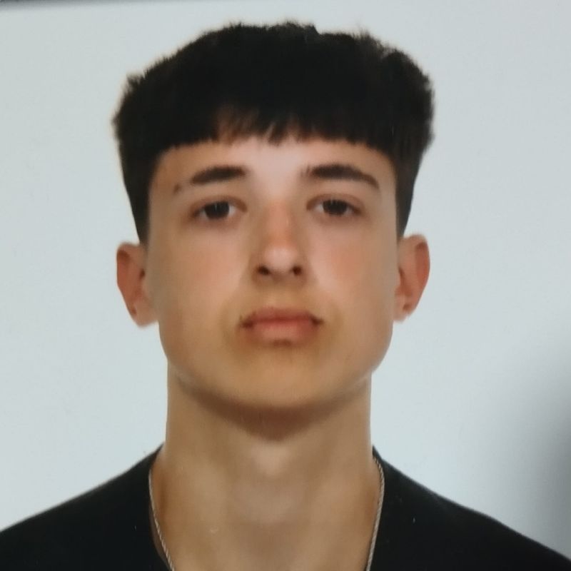 NOEL ALVAREZ MENENDEZ