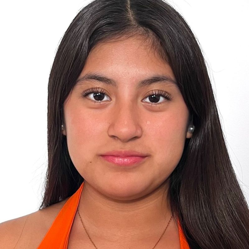 NATALIA NOEMI  CARATE MONTAQUIZA