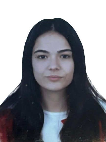 IRENE VILLALOBOS MUÑOZ