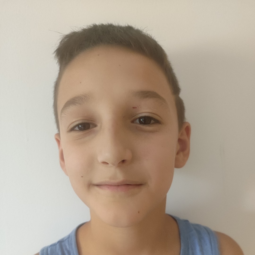 NICOLAS ALEXANDRU ION
