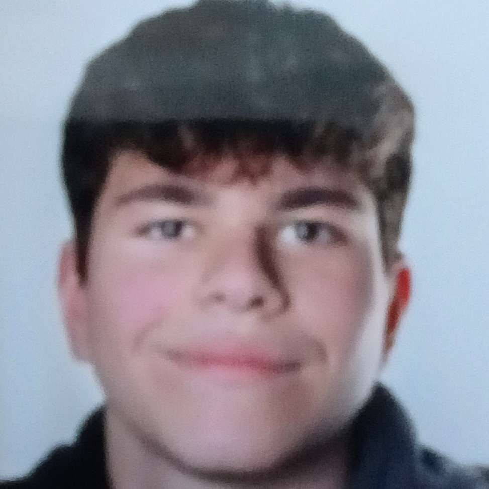 SERGIO VALLES MENDEZ