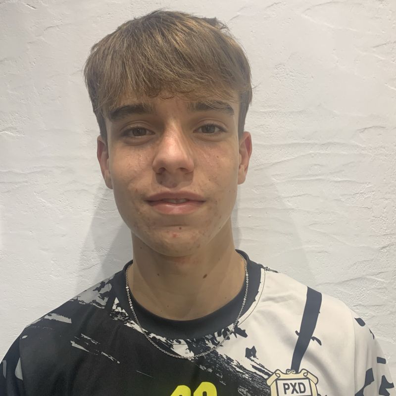 ALVARO PUNZANO FERNANDEZ