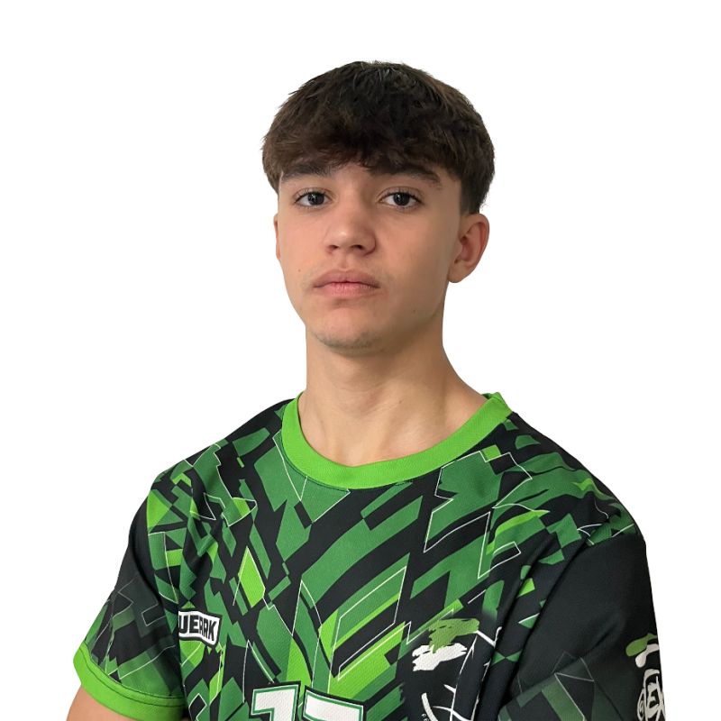 JAVIER CACERES BORREGO