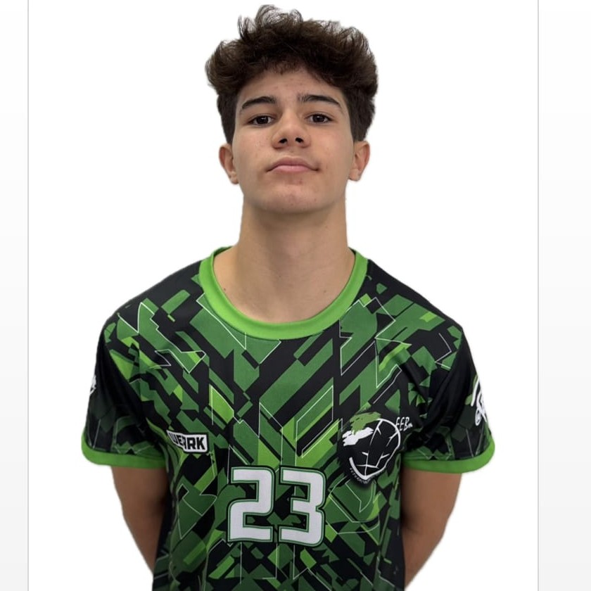 ALEJANDRO SANCHEZ PALACIOS