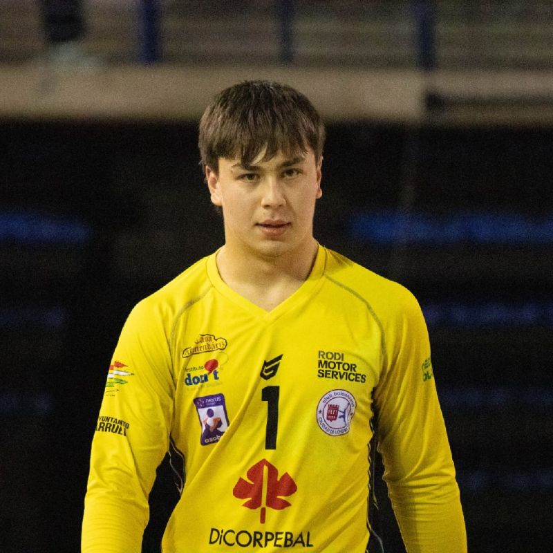 VLAD ANDRES SERBAN INDRES