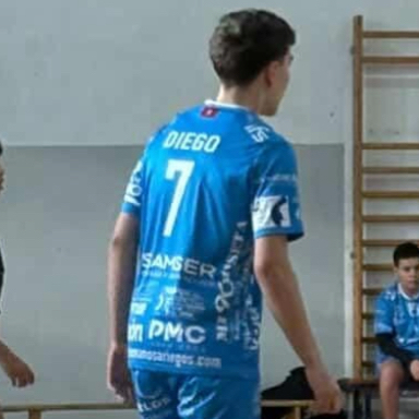 DIEGO ALVAREZ APARICIO