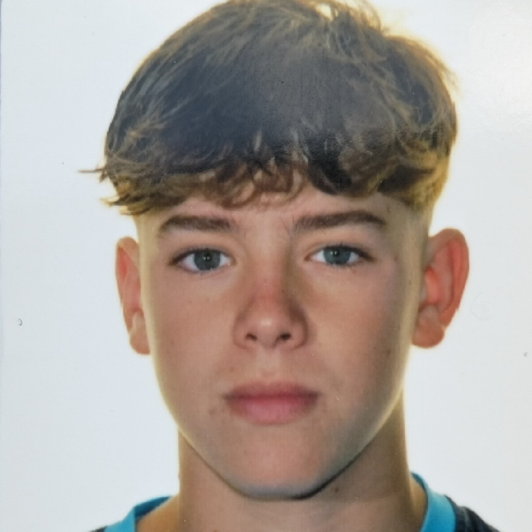 ALEX DE AZEVEDO ELVIRA