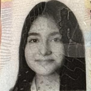 MARIA DEL CARMEN POO VEGA