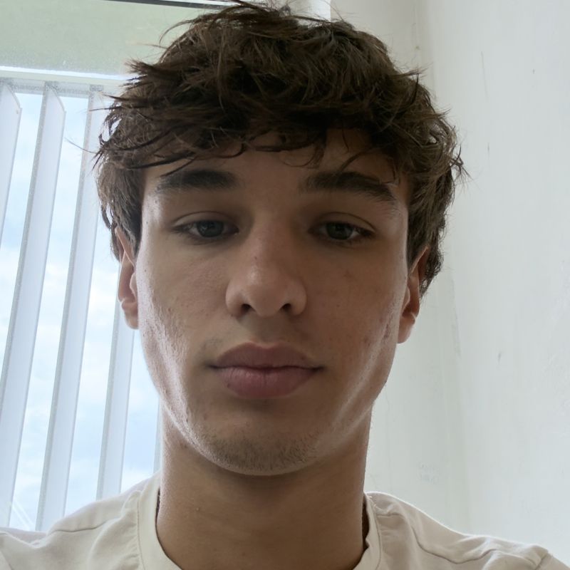 JOEL VIVES DIAZ