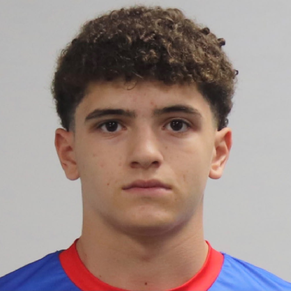 MARIO LLORENTE DEL VIGO