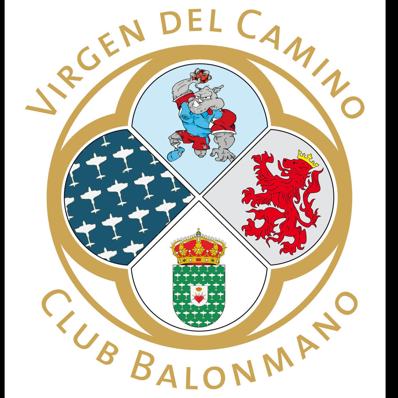 CLUB DEPORTIVO BALONMANO VIRGEN DEL CAMINO