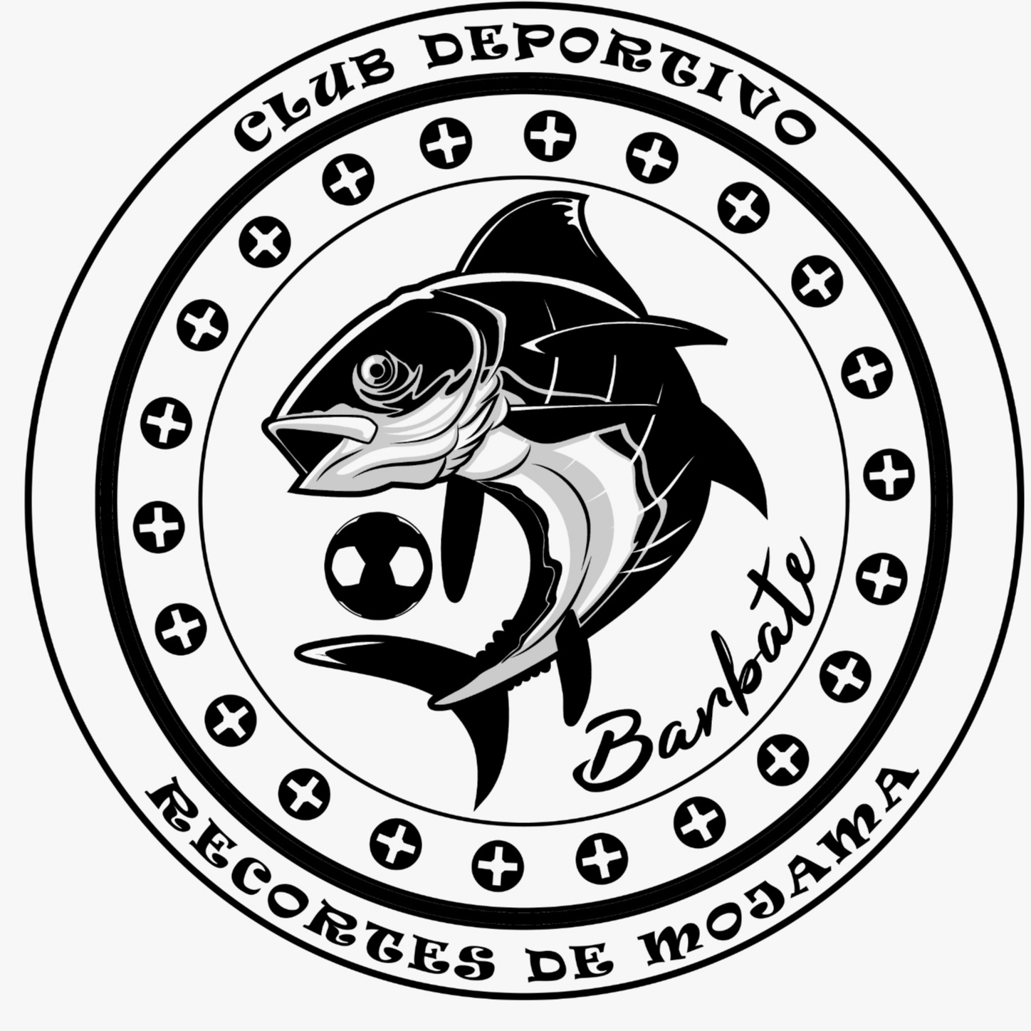 CLUB DEPORTIVO RECORTES DE MOJAMA