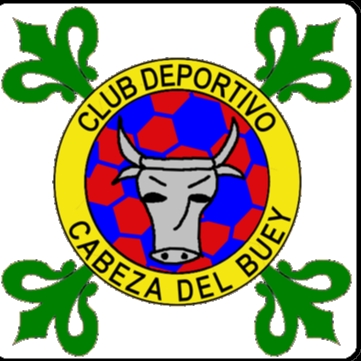 CLUB BALONMANO CASTUERA