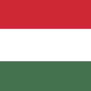 SELECCION NACIONAL EN SILLA DE RUEDAS HUNGRIA